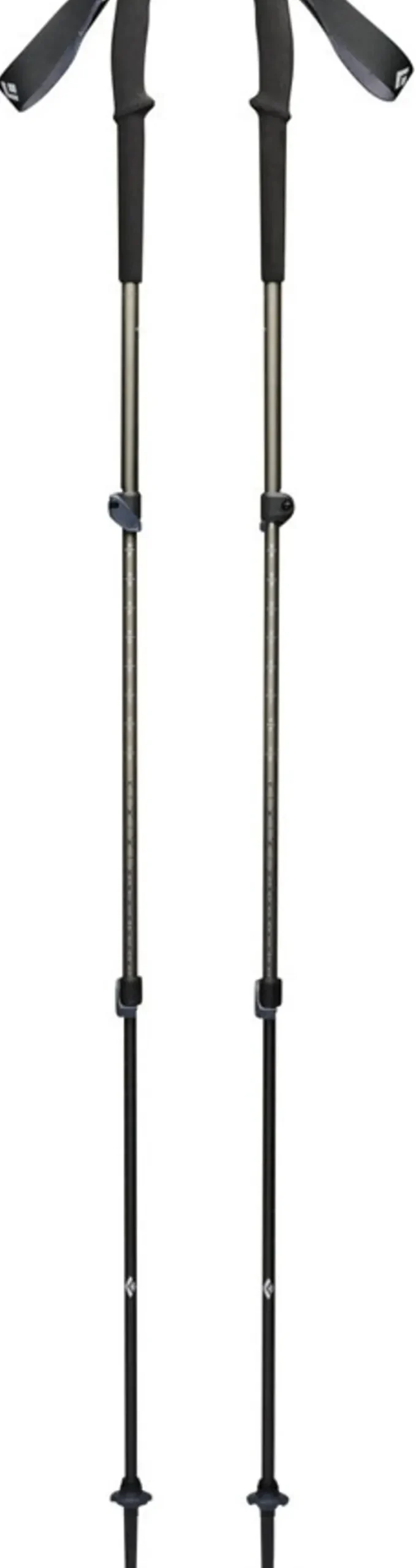 Black Diamond Trail Trekking Poles - Pine Smoke