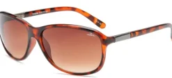 BLOC Bee Sunglasses - Shiny Tortoiseshell-Brown Graduated