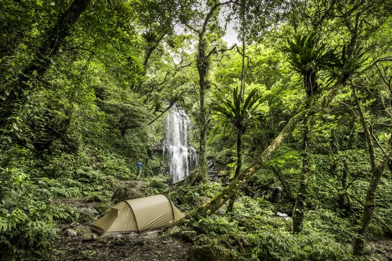 Fjallraven Abisko Lite 3 Tent - Pine Green