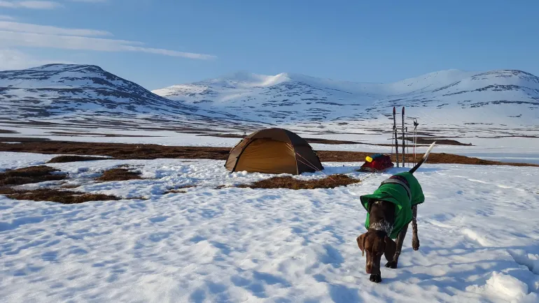 Hilleberg Allak 2 Tent - Green