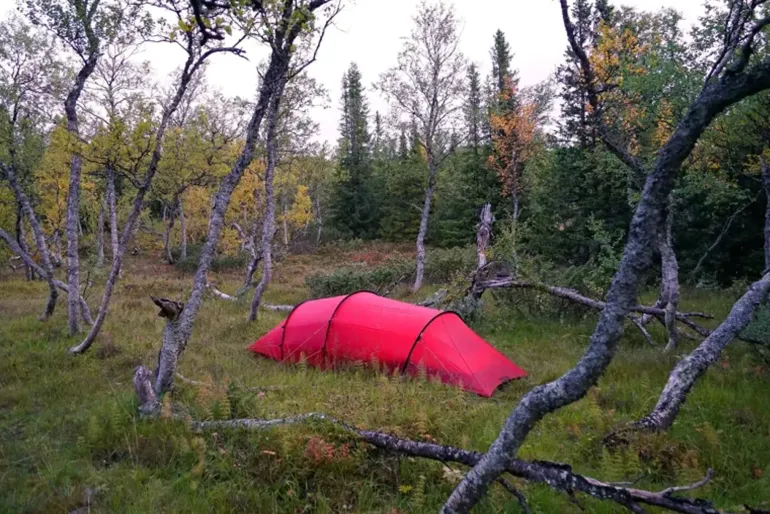 Hilleberg Anjan 3 GT Tent - Green