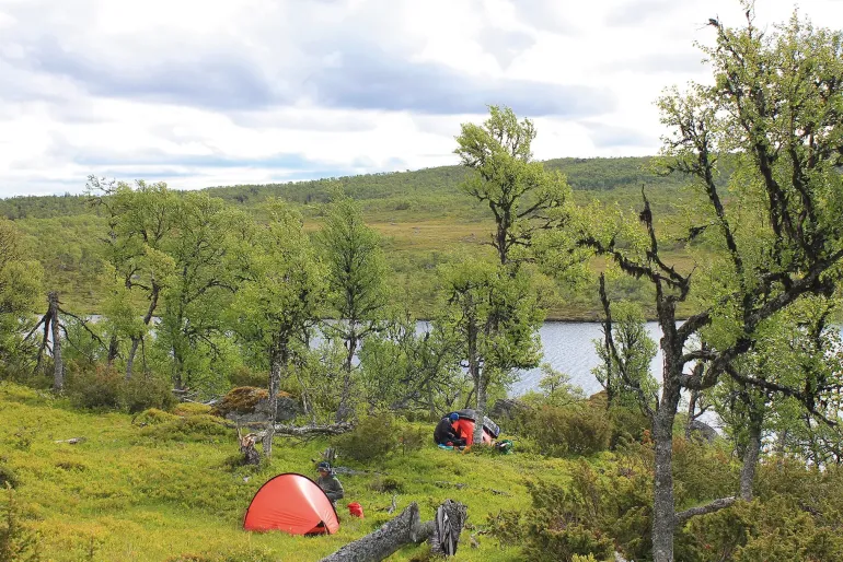 Hilleberg Enan Tent - Sand
