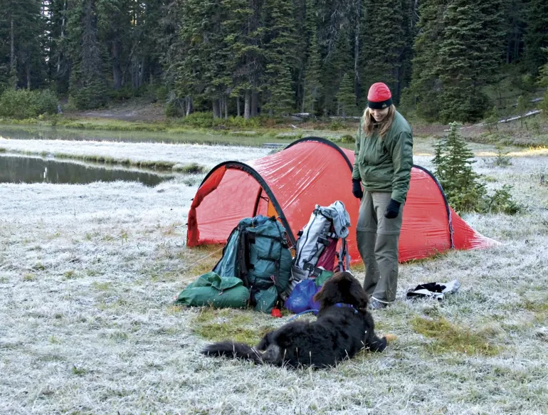 Hilleberg Nallo 3 GT Tent - Sand