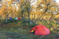 Hilleberg Staika Tent - Green