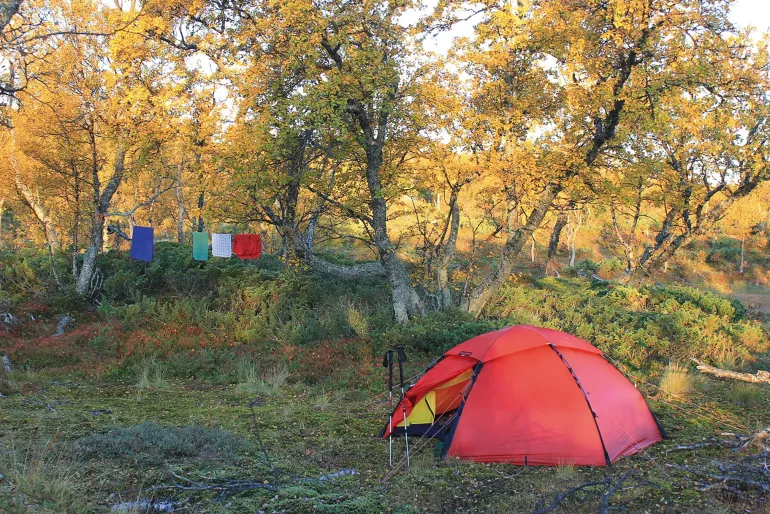 Hilleberg Staika Tent - Green