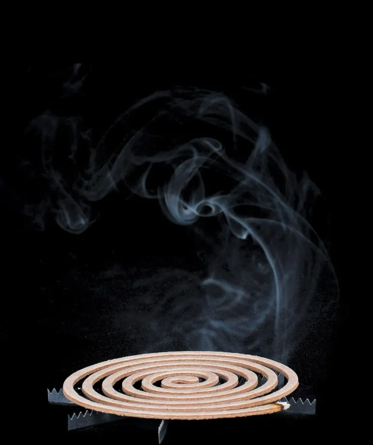 Lifesystems Mosquito Smoke Coils