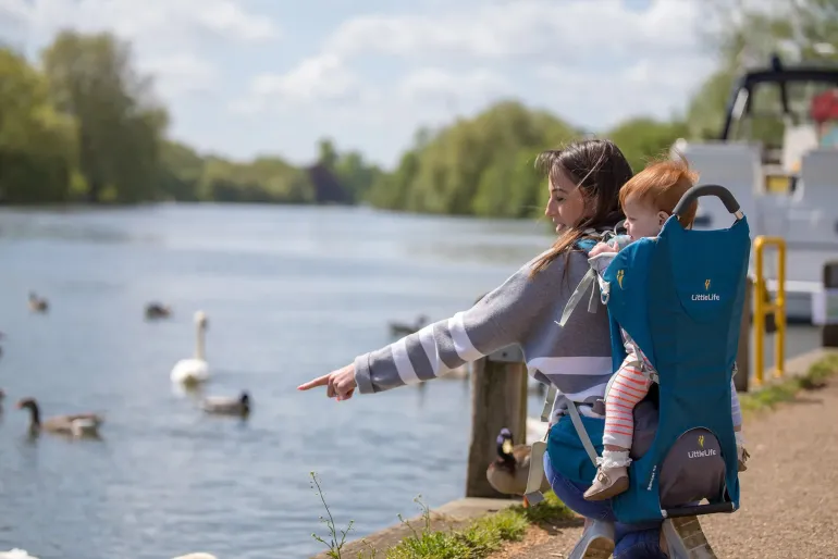 LittleLife Ranger S2 Child Carrier