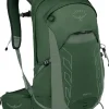 Osprey Talon 22 Rucksack - Green Canopy-Pine Leaf