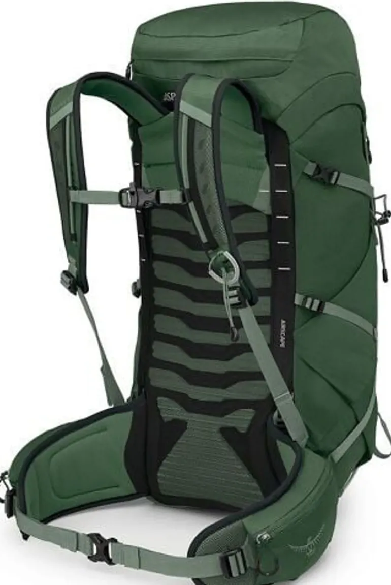 Osprey Talon 33 Rucksack - Green Canopy-Pine Leaf