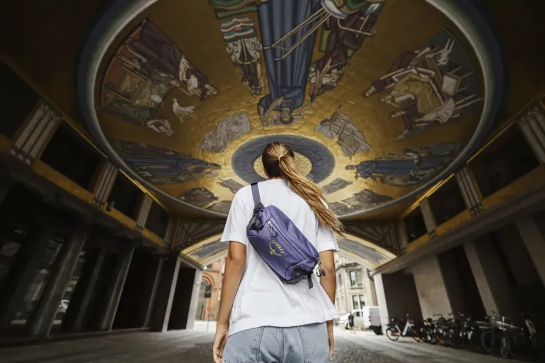 Osprey Transporter Waist Pack - Euphoria Purple