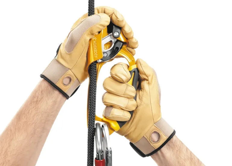 Petzl Ascension