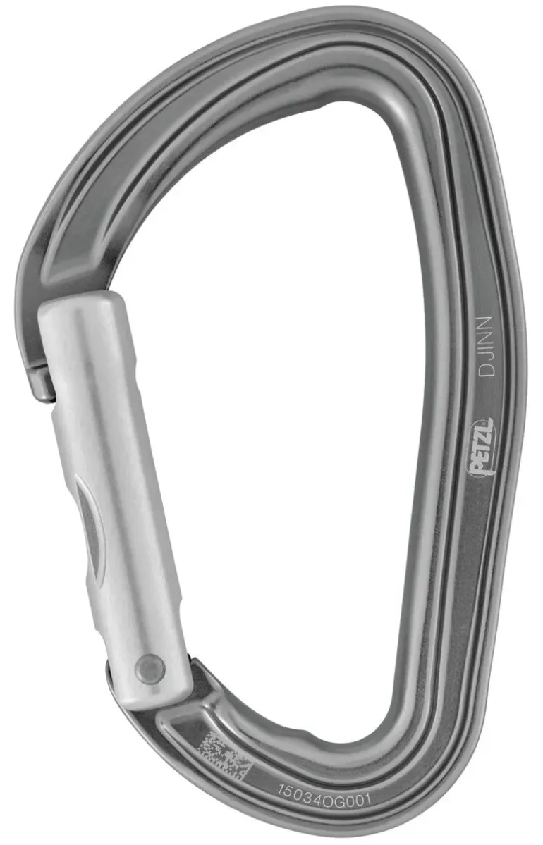 Petzl Djinn Straight Gate Carabiner - Gray