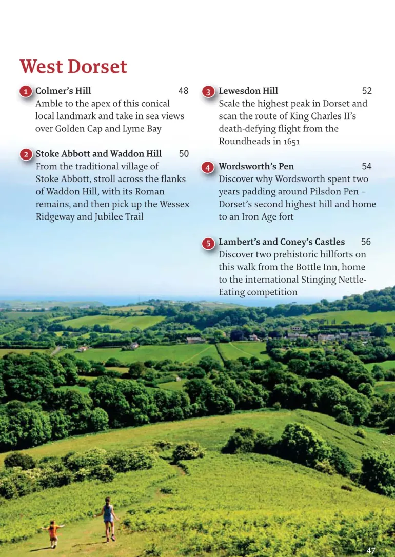Pocket Mountains Dorset 40 Coast and Country Walks