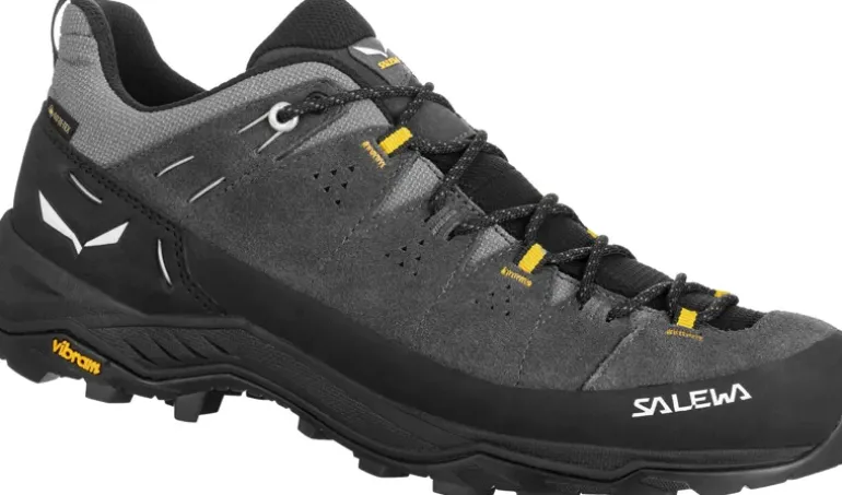 Salewa Mens Alp Trainer 2 GTX Shoes - Onyx-Black