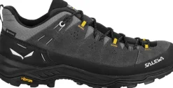 Salewa Mens Alp Trainer 2 GTX Shoes - Onyx-Black