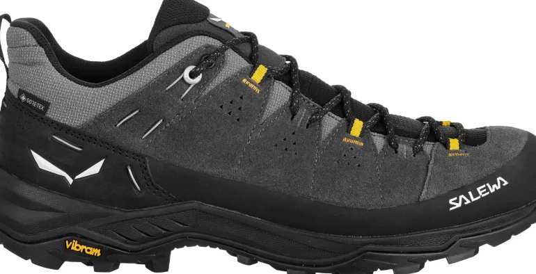 Salewa Mens Alp Trainer 2 GTX Shoes - Onyx-Black