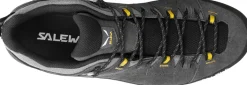 Salewa Mens Alp Trainer 2 GTX Shoes - Onyx-Black