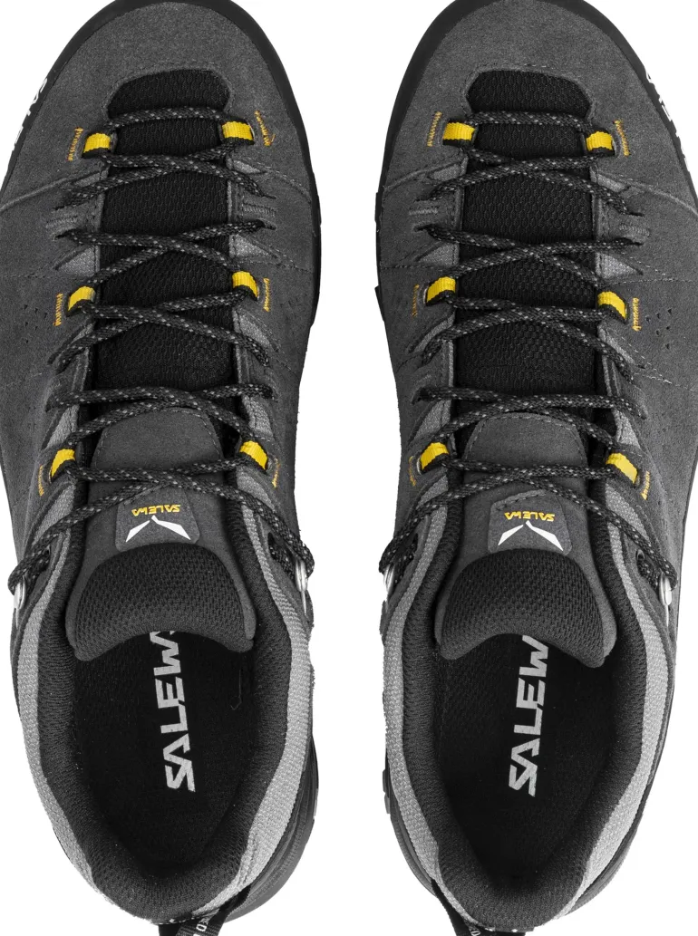 Salewa Mens Alp Trainer 2 GTX Shoes - Onyx-Black