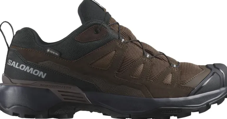 Salomon Mens X Ultra 360 LTR GTX Shoes - Dark Earth-Delicioso-Sharkskin