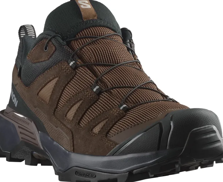 Salomon Mens X Ultra 360 LTR GTX Shoes - Dark Earth-Delicioso-Sharkskin