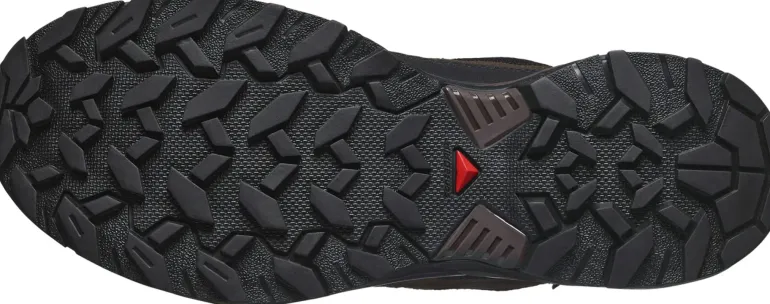 Salomon Mens X Ultra 360 LTR GTX Shoes - Dark Earth-Delicioso-Sharkskin