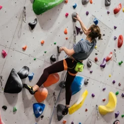 YY Vertical Chalk Bag - T-Rex